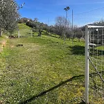1 Bedroom Amazing In * Γκούμπιο